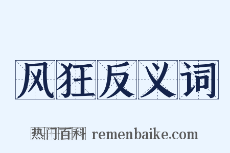 风狂反义词是什么意思的图片